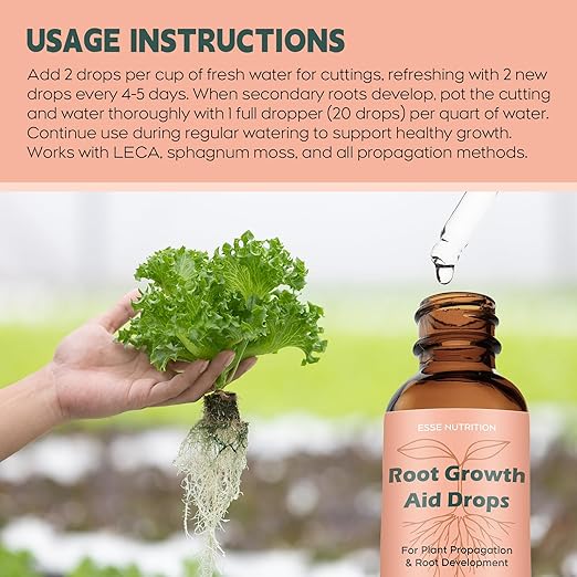 Root Growth Aid Drops - Rooting Hormone for Cuttings | Propagation Drops for Faster Roots & Less Shock | Works in Water, Soil, LECA | for Pothos, Monstera & All Houseplants (4.05 oz)