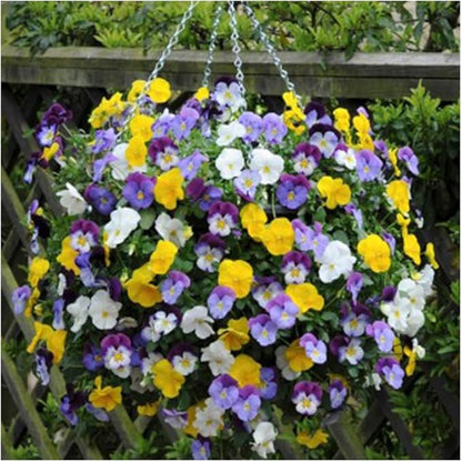Ultimate Hanging Baskets - Strawberry, Tomato, Flower, and Herb Outdoor Planters - Use Garden Pots For Growing Plants Outside On A Deck, Fence, or Balcony (2, Mocha)