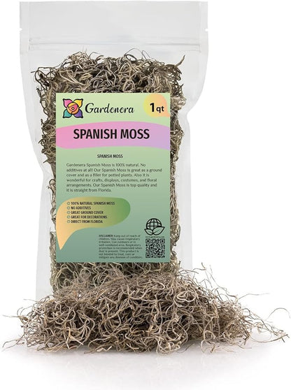 Gardenera Premium Natural Spanish Moss | Natural Preserved - Great Ground Cover - Filler for Potted Plants - 4 Quart Bag