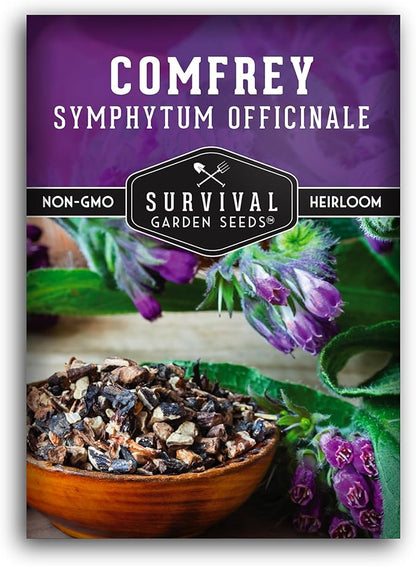 Comfrey Seeds for Planting - Symphytum Officinale Medicinal Perennial Herb for Compost Tea & Natural Skincare - True Slippery Root Non-GMO Heirloom - Survival Garden Seeds (1 Pack)