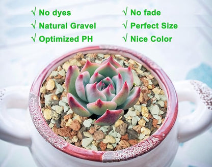 2lb Bonsai Succulent and Cactus Soil Boniosz Gritty Mix Rocks Faster Draining Optimized PH No Root Rot