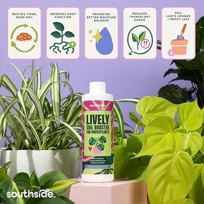 Southside Plants Lively Soil Conditioner for Houseplants – Repot Less, Revive Tired Potting Soil, Improve Drainage & Nutrient Uptake – Beneficial Bacillus Indoor Plant Booster