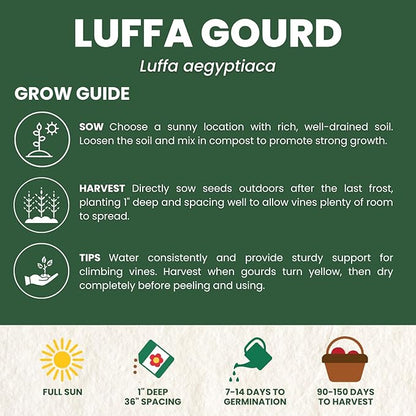 Luffa Gourd – 45 Premium Seeds for Planting – Natural Sponges, Vigorous Vines, Abundant Harvests for The 2026 Season – 5 Gram Pouch
