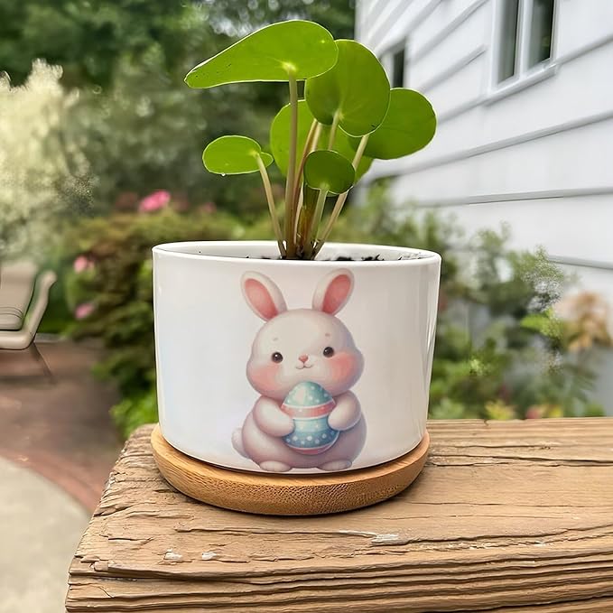 DreamAutumn Easter Bunny Rabbit Ceramic Planters Ceramic Pots with Saucers Orchid Pots for Plants Succulents Pots Office Desk Garden Balconys New Home Decor,Gifts for Mom Mother Grandmother