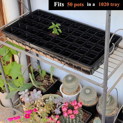 BangQiao 200 Pack 1.95 Inch Tiny Black Plastic Square Nursery and Seedling Pot, Mini Transplant Seed Starter Planter with Drain Hole for Germination, Herb, Succulent