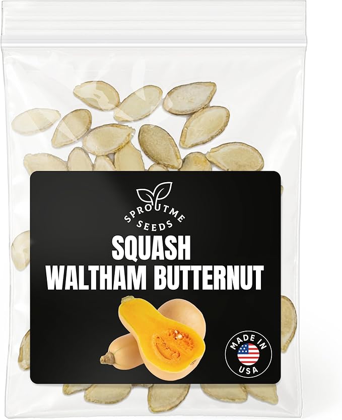 Butternut Squash Seeds for Planting – 50+ Sweet Winter Squash Seeds, Non-GMO Heirloom, High Germination, Long Storage Variety (Cucurbita moschata)