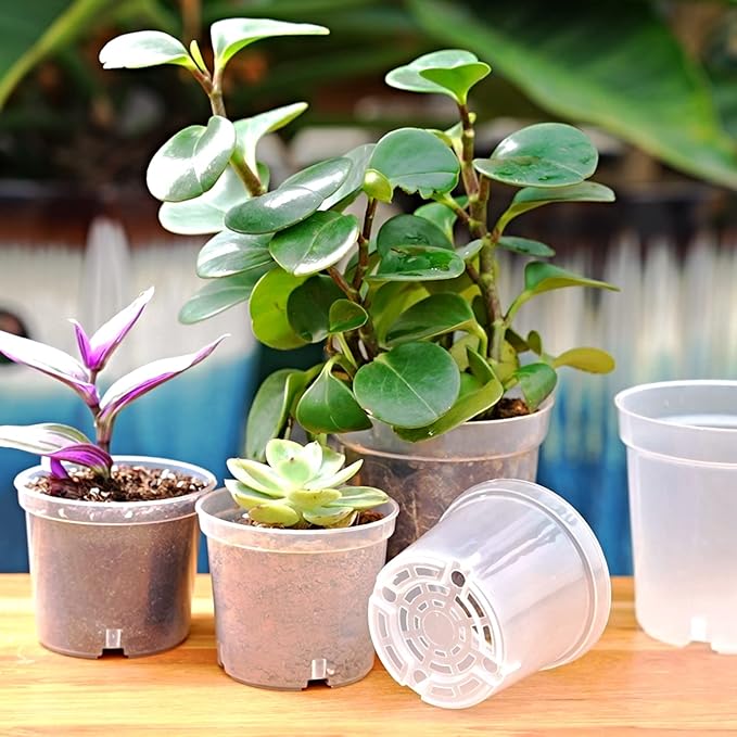 3.5 Inch Clear Nursery Pots, Transparent Plastic Plant Pots with Drain Holes, Seed Germination Starting Planter Container with 20 Plant Labels for Flowers Vegetable Seedlings 60 Pcs