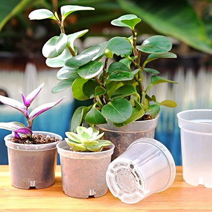 4 Inch Clear Nursery Pots for Plants, Transparent Plastic Plant Pots with Drain Holes, Seed Starter Clear Pots with 20 Plant Labels for Flowers Vegetable Seedlings 30 Pcs