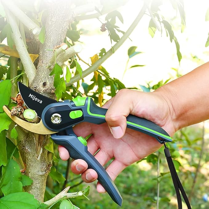 Professional Garden Shears & Clippers – Sharp Pruning Shears for Flowers, Twigs, Roses, Grape Vines, Trees & Bonsai | Heavy-Duty Hand Scissors, Secateurs & Trimmers | Perfect Gardening Gift (green)