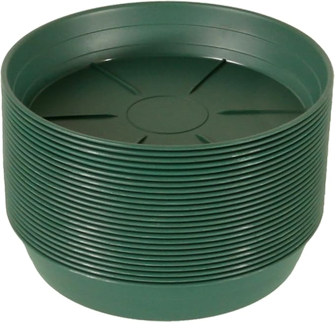 Hydrofarm HGS6P Green Premium, 6", Pack of 25 Saucer, 6"