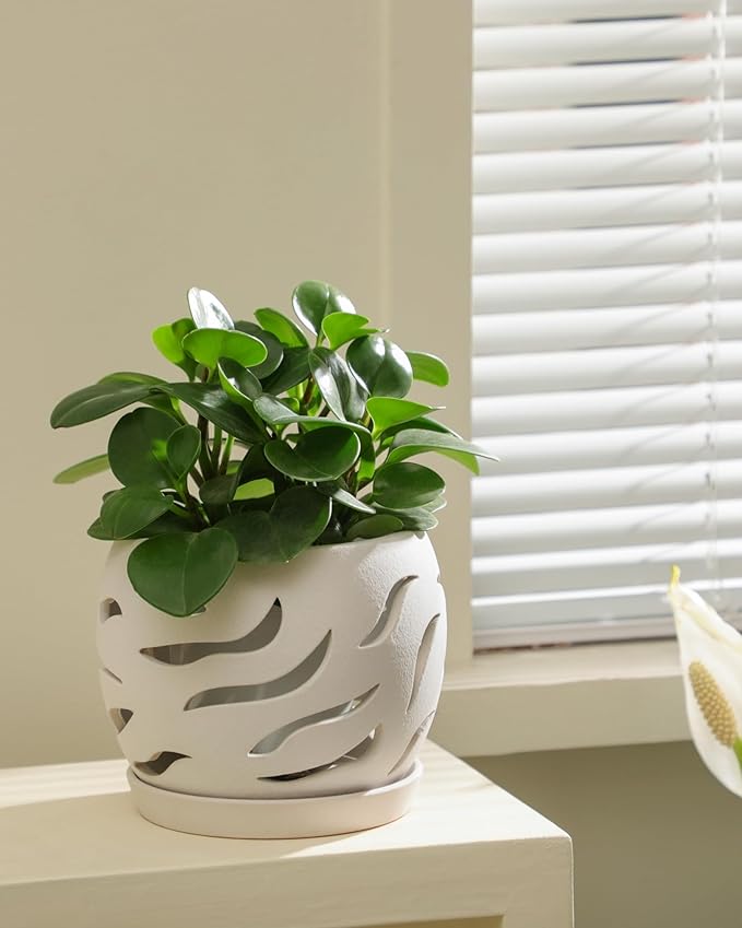 Ceramic Orchid Pot with Holes & Saucers, 5.5 inch Plant pots for Indoor and Outdoor use, Wind-Worn Texture Cutout Promoting air Circulation and Drainage(Pots Only)