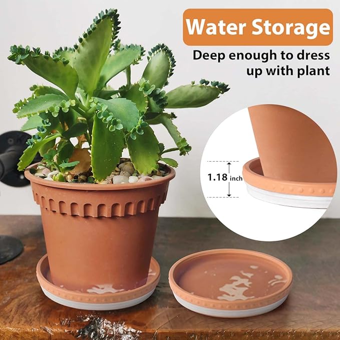 YBX 8-inch Plant Saucer Premium Terracotta Saucer Round Ceramic Plant Trays, Pack of 2 (White/Terracotta)