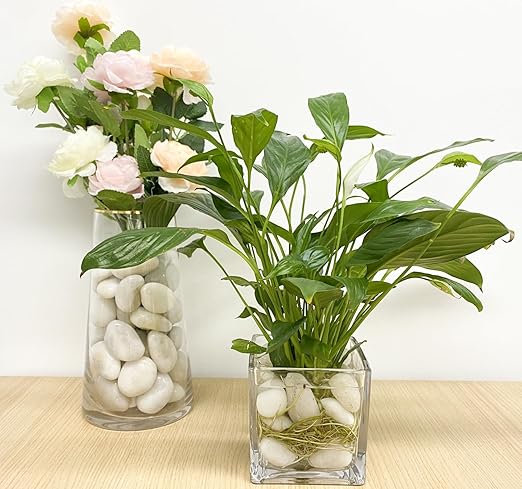 20 lbs White River Rocks, 1-2 Inch Polished Pebbles for Indoor Plants, Decorative White Stones for Plants, Vase, Aquarium, Fish Tank, Landscaping and Garden
