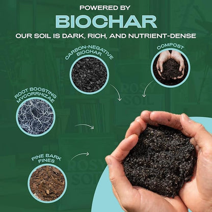 Rosy Soil Indoor Potting Soil for House Plants - Organic Potting Soil Mix for Indoor Plants - Enriched w/Root-Boosting Biochar for Foliage Plants, Flowers, Herbs - Peat Free, Less Prone to Gnats - 4qt