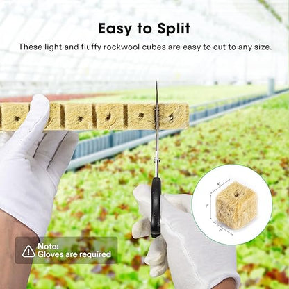 VIVOSUN 1 Inch Rockwool Cubes, 100 Plugs Grow Cubes for Hydroponics, Cuttings, Cloning, Plant Propagation, Seed Startling