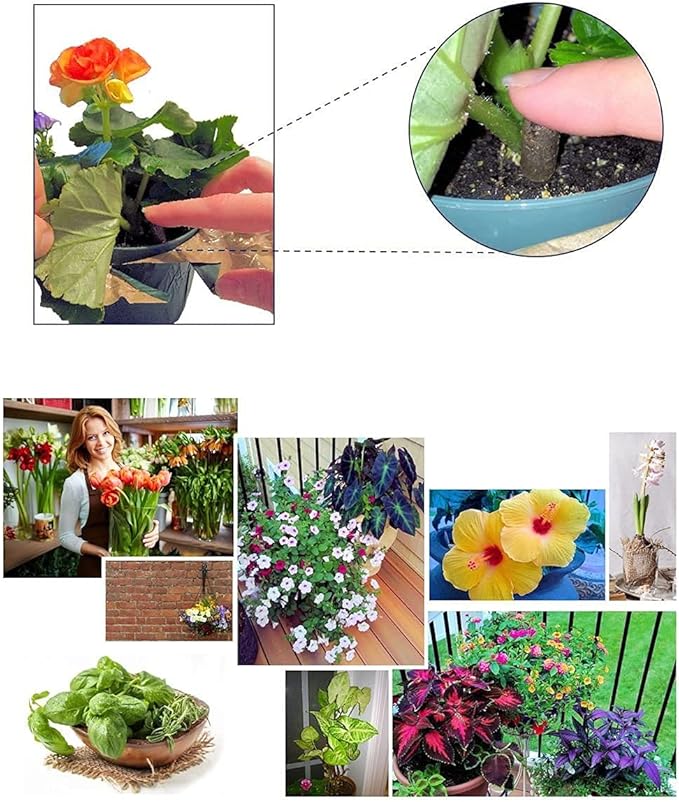 100 EarthPods - Bio Organic Plant Starter Fertilizer Spikes – Special Plant Food Formulated to Jump Start Roots for New Plantings – Prevent Transplant Shock - Made in USA