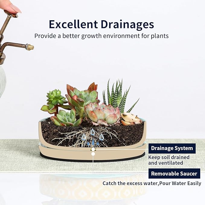 Selamica Ceramic Succulent Pots, Shallow Succulent Planters with Drainage Hole & Saucer, Indoor Plant Pots for Cactus, Home Decor，Assorted Colors,6 inch，Set of 4