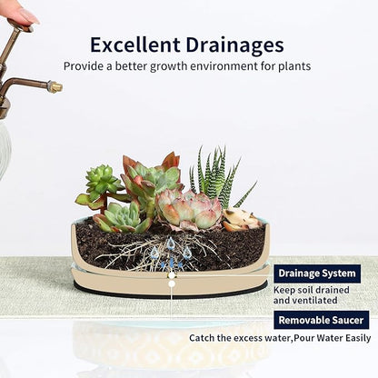 Selamica Ceramic Succulent Pots, Shallow Succulent Planters with Drainage Hole & Saucer, Indoor Plant Pots for Cactus, Home Decor，Assorted Colors,6 inch，Set of 4