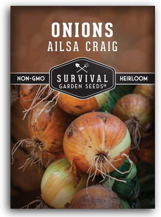 Ailsa Craig Onion Seeds for Planting – Long Day Yellow Sweet Onions with Jumbo Bulbs & Mild Flavor – Heirloom, Non-GMO, Open-Pollinated Variety – Survival Garden Seeds (1 Pack)