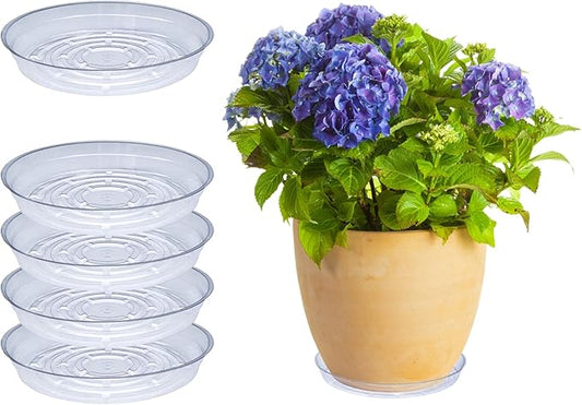 Curtis Wagner Plastics Drip Pan Plant Saucers (5-Pack) - Clear, Round (Diameter: 7" Base, 8" Top, 1.25" Depth) Thin Plastic Planter to be Used as Indoor Pot & for Outdoor Plant Pots