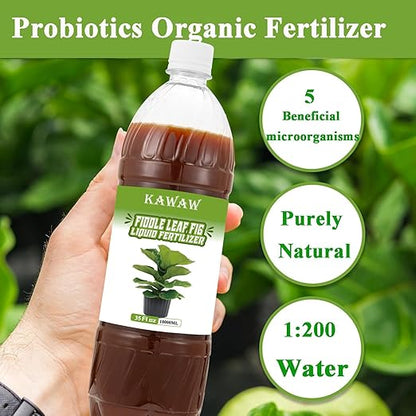 Fiddle Leaf Fig Plant Food, Organic Microbial Probiotic Liquid Nutrient – 35oz (1000ml) Natural Indoor Plant Food for Ficus Lyrata & Houseplants