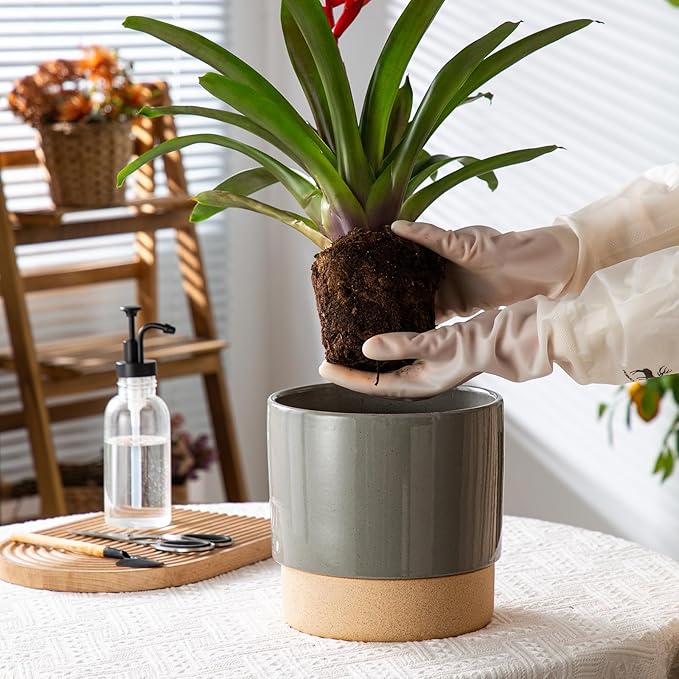 Self Watering Ceramic Planter: 8 Inch Plant Pot with Drainage Hole & Water Storage Plus for Outdoor & Indoor Plants, Succulents, Herbs - Flower Pot for Home or Office Decor - Dark Grey
