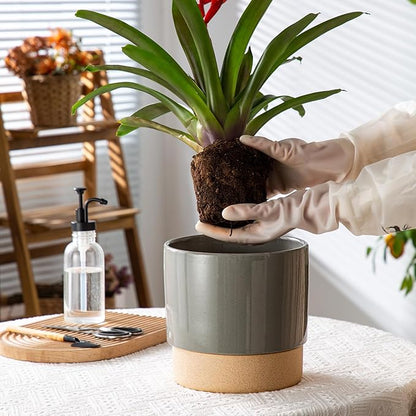 Self Watering Ceramic Planter: 8 Inch Plant Pot with Drainage Hole & Water Storage Plus for Outdoor & Indoor Plants, Succulents, Herbs - Flower Pot for Home or Office Decor - Dark Grey