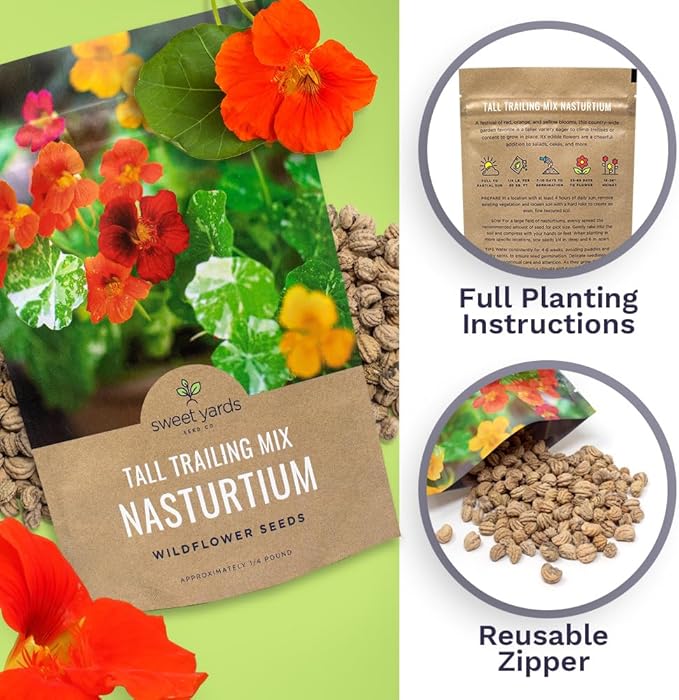 Nasturtium Seeds – Mixed Colors – Bulk Quarter Pound Bag – Over 900 Open Pollinated Non-GMO Flower Seeds – Tropaeolum majus