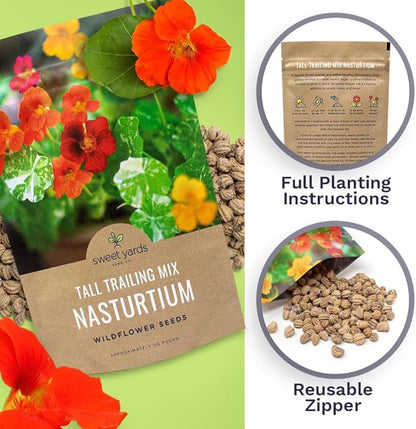 Nasturtium Seeds – Mixed Colors – Bulk Quarter Pound Bag – Over 900 Open Pollinated Non-GMO Flower Seeds – Tropaeolum majus