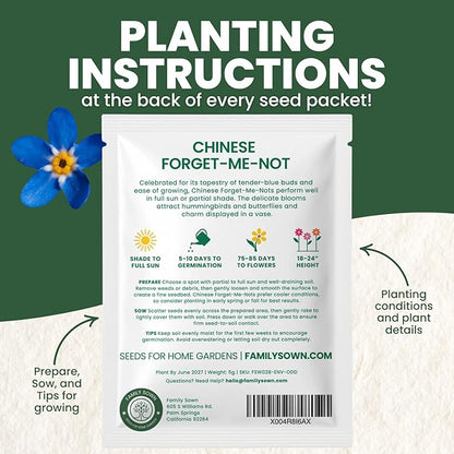 Chinese Forget Me Not – 800 Seeds for Planting – 2026 Season – 5 Grams