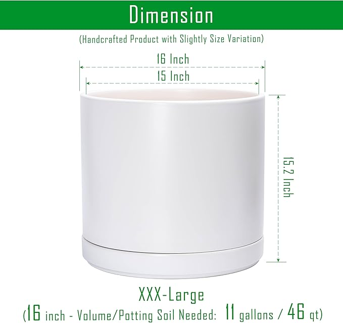 D'vine Dev 16 Inch Ceramic Planter Pot with Drainage Hole and Saucer, Indoor Cylinder Round Planter Pot, White, 94-O-H-1