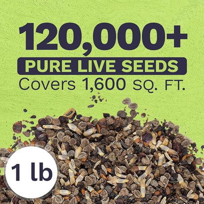 Bulk Wildflower Seeds Partial Shade Mix - 1 Pound Bag Over 120,000 Open Pollinated Annual and Perennial Seeds