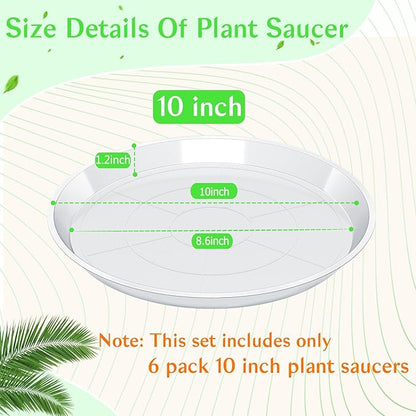 6 Pack Clear Plant Saucer, Durable Plant Drip Trays Saucers for Pots, No Holes Water Catcher Trays for Indoor Outdoor Planter, Sturdy Base Plate (10", Clear)