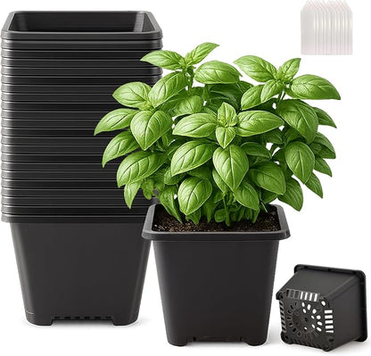 25 Packs Square Nursery Pots for Plants 6.1 Inch Succulent Plant Pots Set Plastic Seedling Starting Pots with Drainage Holes Nursery Pots Variety Pack Flower pots Planter Seed Starter, Black