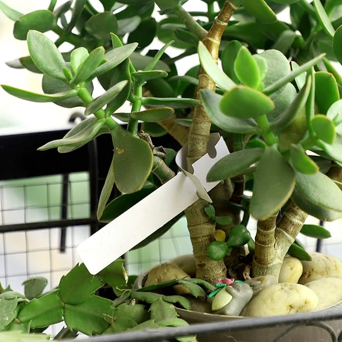 KINJOEK 600 PCS White Plant Labels, PVC Plant Tags for Garden Adjustable Plant Tags
