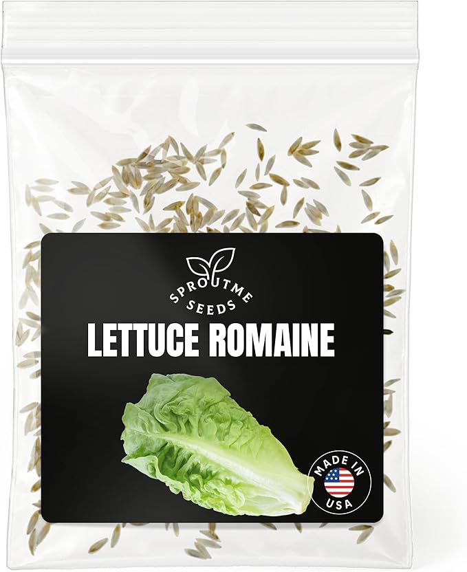 Romaine Lettuce Seeds Parris Island Cos – 500+ Non-GMO Heirloom Cos Lettuce, Crisp Sweet Heads, Cool Season Leafy Greens, High Germination (Lactuca Sativa)