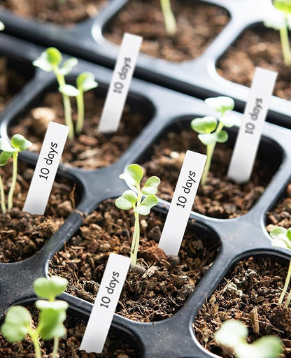 Homenote 200 Pcs 4 Inch Plastic Plant Labels Waterproof Plant Tags for Seedling,Vegetable Gardening Tags,Garden Markers Outdoor for Plants Name Sign with Permanet Marking Pen,White