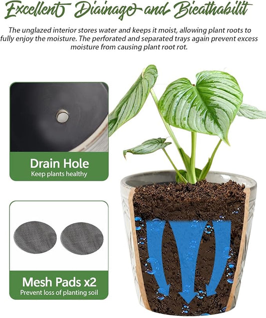 Plant Pots, Planters Pots for Indoor Plants 5.5 Inch Ceramic pots for Plant *2, Flower Pots with Drainage, Planters for Indoor Plants, Small Pots for Plant, Cement Gray
