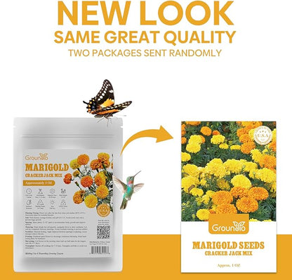 Marigold Seeds, 1 OZ Over 9500+ Seed, Cracker Jack in Mix Color for Planting Indoor & Outdoor, Attract Pollinators, Non-GMO | Heirloom | USDA Zone 2-11