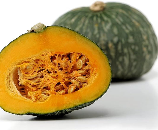 20 JAPANESE GREEN PUMPKIN SEEDS - Kabocha - Open pollinated, heirloom