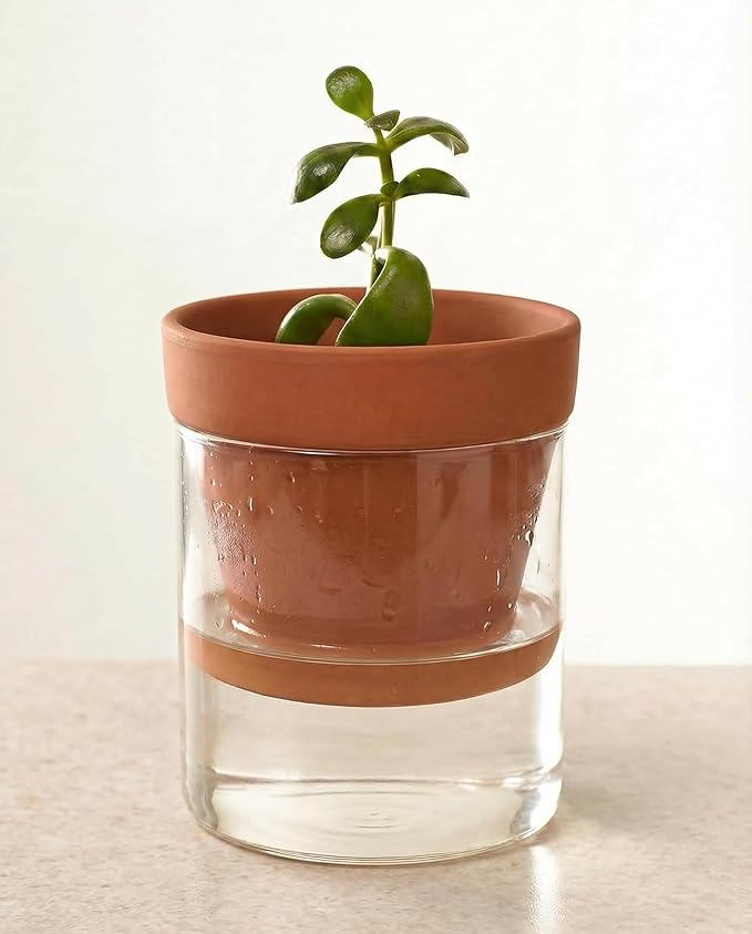 Bamworld Self Watering Pots for Indoor Plants Terracotta Pots Terracotta Planter with Cylinder Glass Cup Clay Flower Pots Ceramic Orchid Pots Modern Office Home Decor 4 Inch