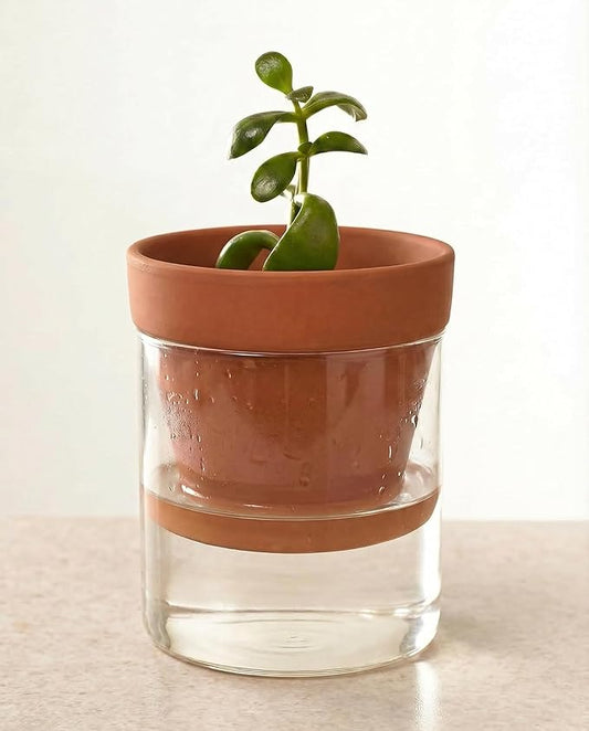 Bamworld Self Watering Pots for Indoor Plants Terracotta Pots Terracotta Planter with Cylinder Glass Cup Clay Flower Pots Ceramic Orchid Pots Modern Office Home Decor 4 Inch