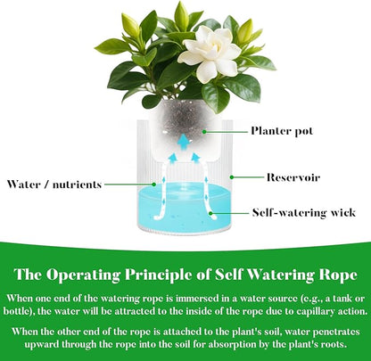 MAQIHAN Self Watering Rope - 50 Feet × 1/6 Inch Self Watering Rope for Plants Wicking Cord for Garden Wick Rope for DIY Self-Watering System Capillary Wick for Potting Orchid Tomato Plant