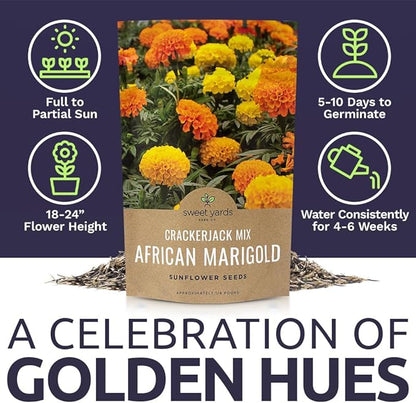 African Marigold Seeds Crackerjack Mix - Bulk 1/4 Pound Bag - Over 40,000 Seeds - Huge Orange and Yellow Blooms
