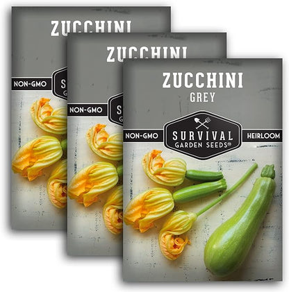 Survival Garden Seeds - Grey Zucchini Seed for Planting - 3 Packs with Instructions to Plant and Grow Mexican Summer Squash in Your Home Vegetable Garden - Non-GMO Heirloom Variety