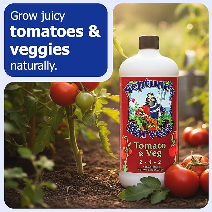 Neptune’s Harvest Organic Tomato & Vegetable Plant Fertilizer (2-4-2) - 36oz Bottle - Liquid Plant Food w/Fresh Fish, Seaweed, Molasses, Yucca Extract, & Humic Acids - for Vegetable Garden