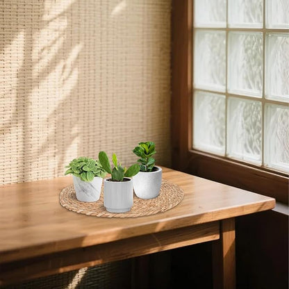 6 Pack 14 Inch Large Woven Plant Coasters for Floor, Natural Seagrass Plant Mats for Indoor House Plants, Thick Round Flower Pot Pads for Carpet & Hardwood Protection, Boho Farmhouse Decor