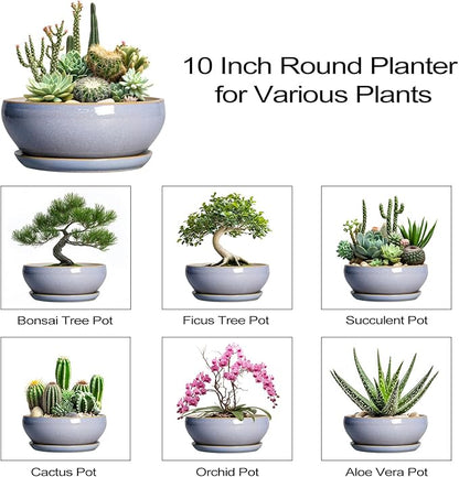 SQOWL Succulent Pots - 10 Inch Ceramic Bonsai Pots with Drainage Hole and Saucer, Round Shallow Planter for Indoor Outdoor Plants, Ceramic Planter Bowl, Home Decor, Gardening Gifts, Blue