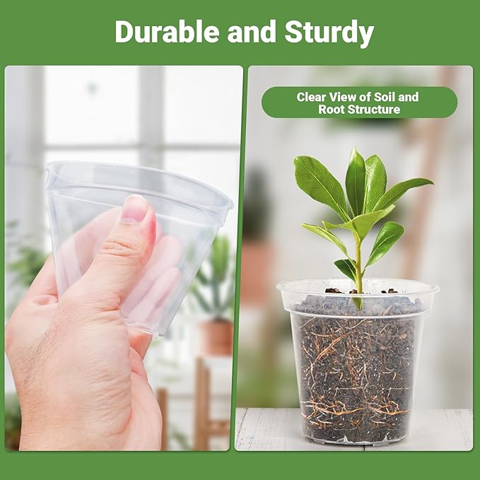 GREANER 60 Packs Clear Plant Nursery Pots, 3 Inch Plastic Pot with Drainage Holes, Reinforced Flower Seed Starter Pot for Indoors Outdoor Plants with 20 Plant Labels - Transparent