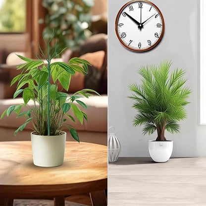 10 Pack Stackable Monstera Plant Support, Garden Stakes for Climing Plants Stem Support, Durable Plant Accessories for Indoor Outdoor Potted Plants, Flower Other Climbing Plants